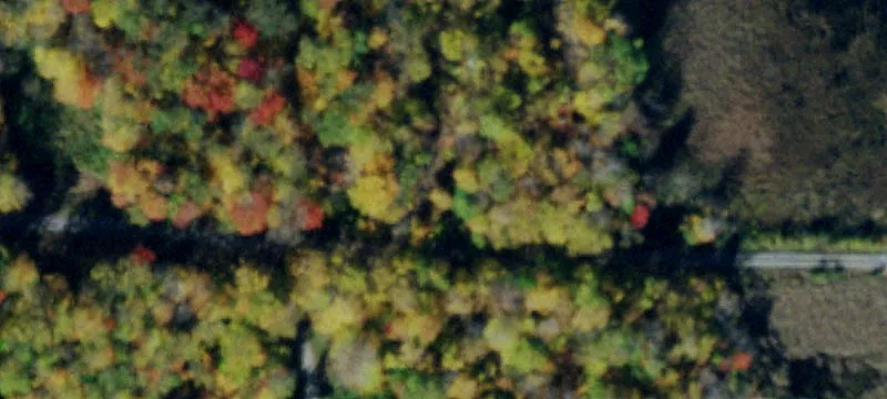 Streamside Residential Cottage Property