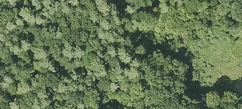 Buildable Residential Land Parcel