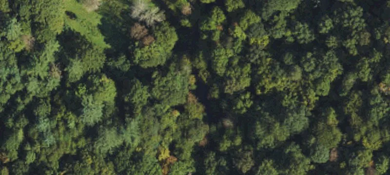 Agricultural Land Tract
