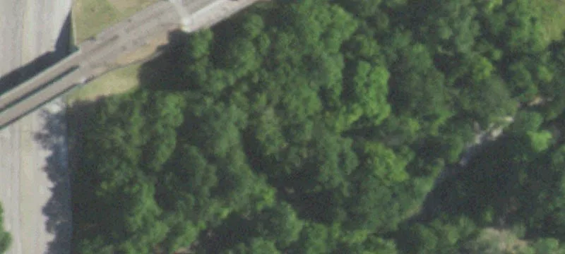 Heavily Wooded Commercial Land