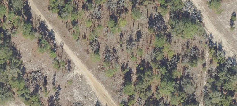 Residential Vacant Lot Homesite