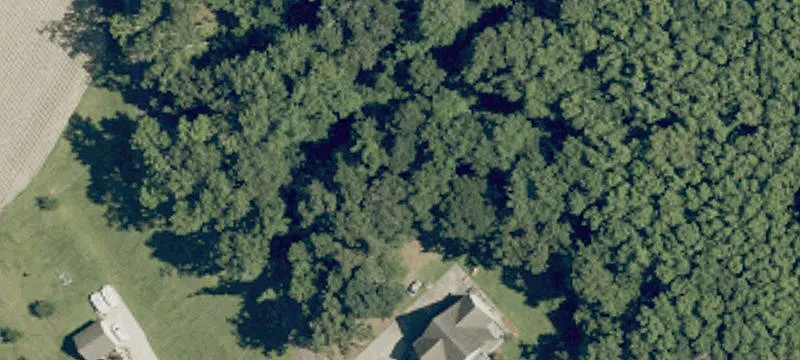 Wooded Waterfront Homesite
