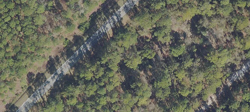 Treed Residential Homesite Lot