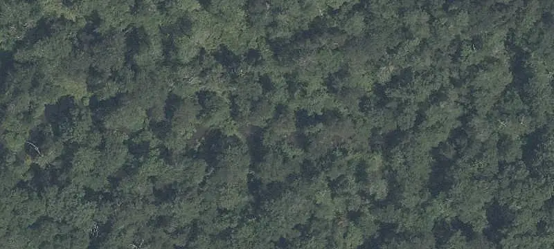 Oversized Cul-De-Sac Home Lots