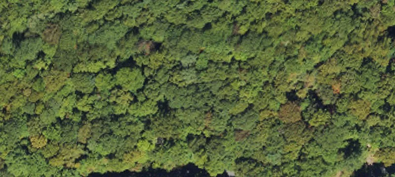 Mountain Homesite in Conservation Community