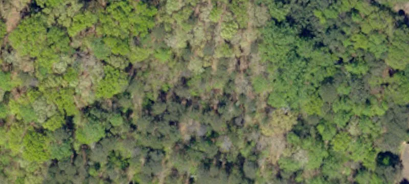 General Commercial Vacant Land