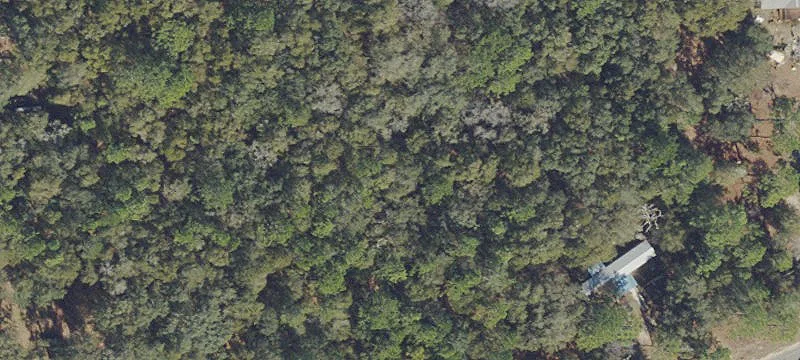 Wooded Residential Lot