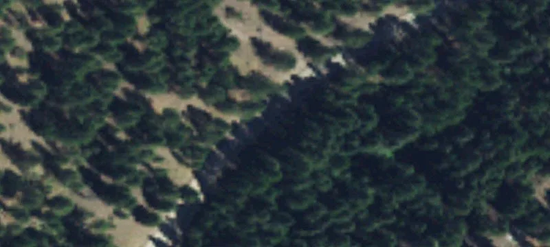 Timbered Recreational Land