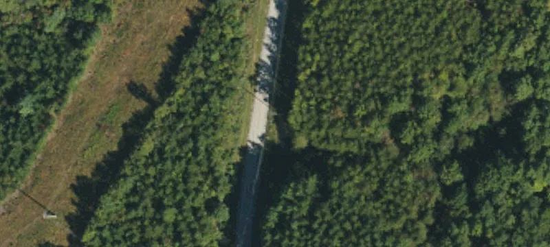 Wooded Agricultural Land Tract