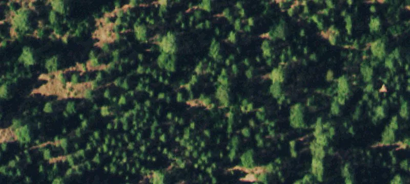 Wooded Recreational Land Parcel