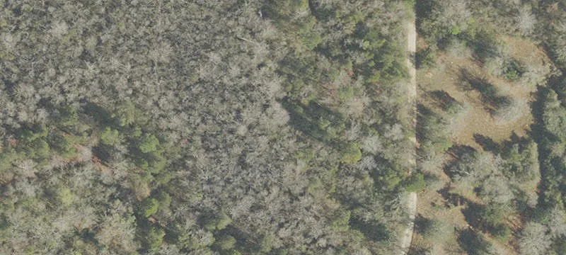 Waterfront Land with Lake Access