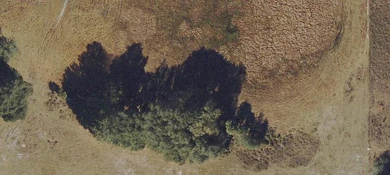 Commercial Land with Event Barn