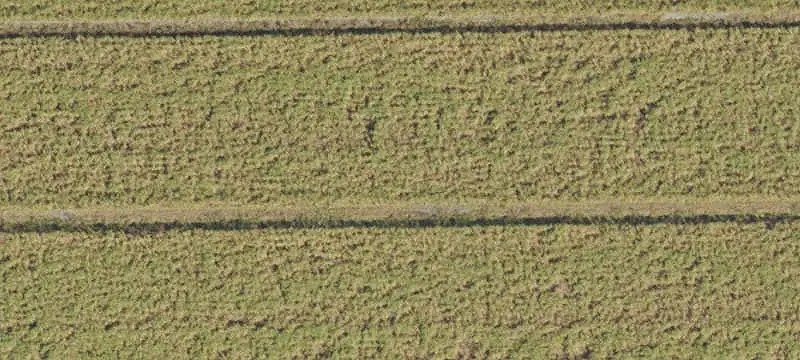Agricultural Land for Sale