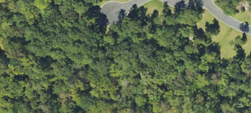 Wooded Residential Homesite in Community