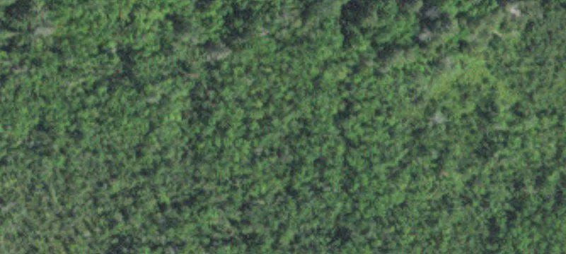 Vacant Hunting Land Acreage