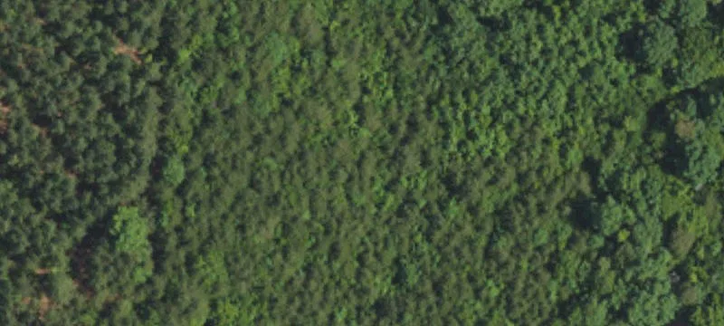 Wooded Land Near River Access