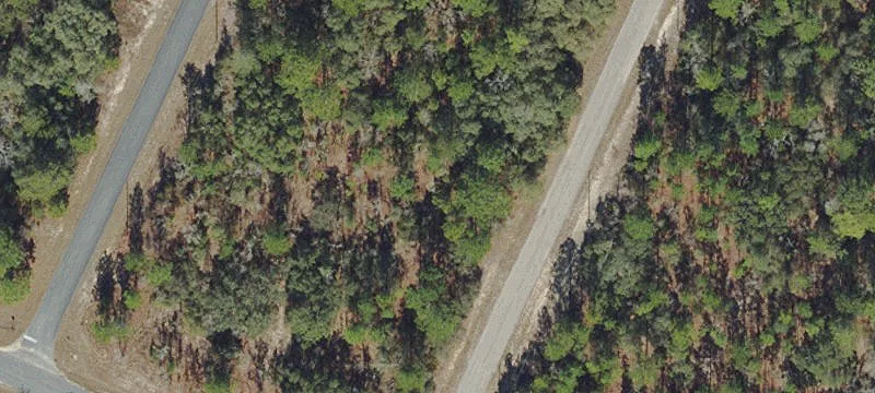 Single-Family Home Lot