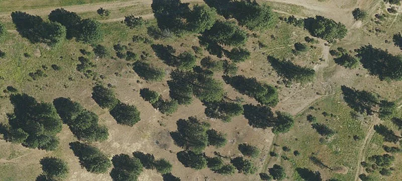 Working Equestrian Ranch with River Frontage