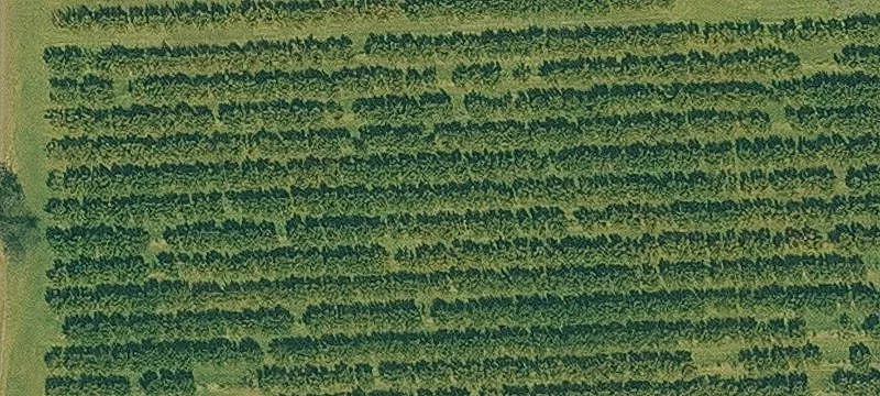 Acreage with Level and Wooded Areas