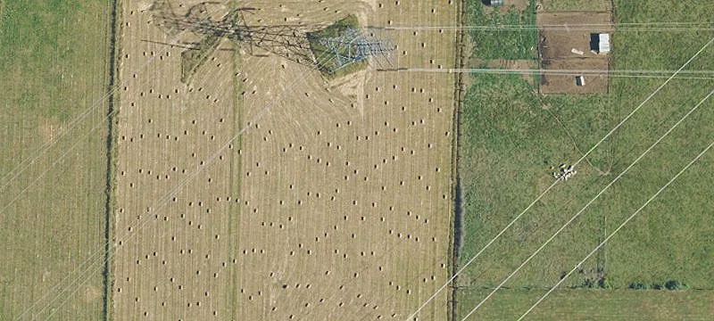 Ranch Home with Kennel Facilities