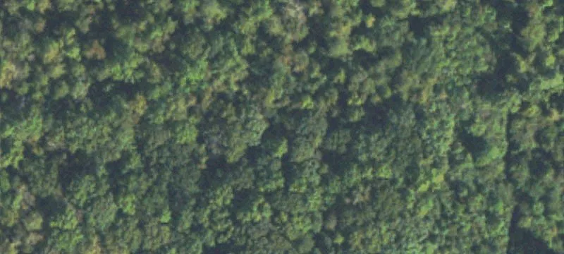 Wooded Residential Acreage Lot