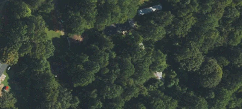 Timber Tract with Road Frontage