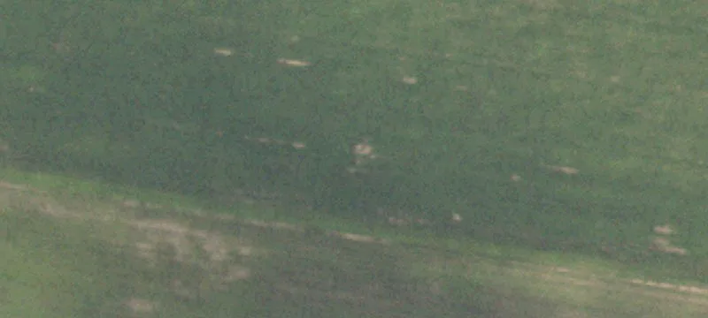 Recreational Hunting Land Tract