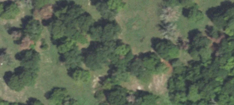 Custom Home with 5 Acres
