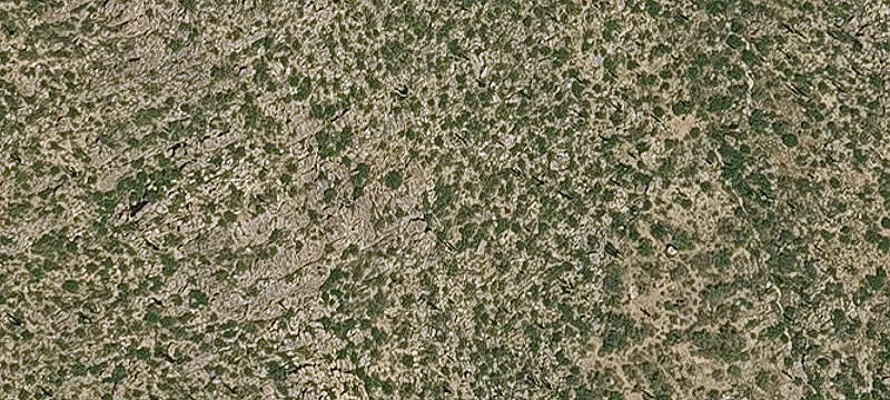 Estate Homesite in Desert Preserve