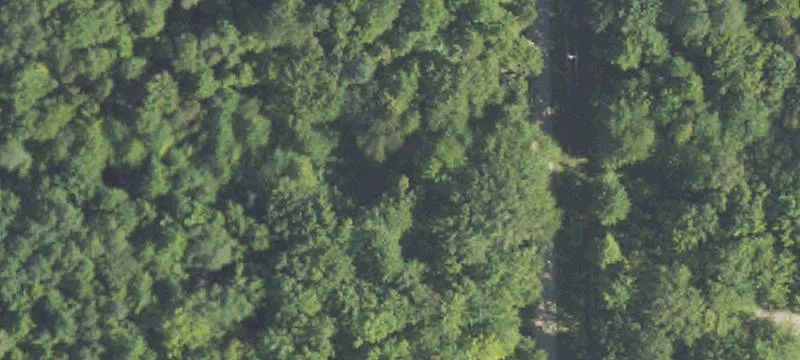 Wooded Residential Build Site