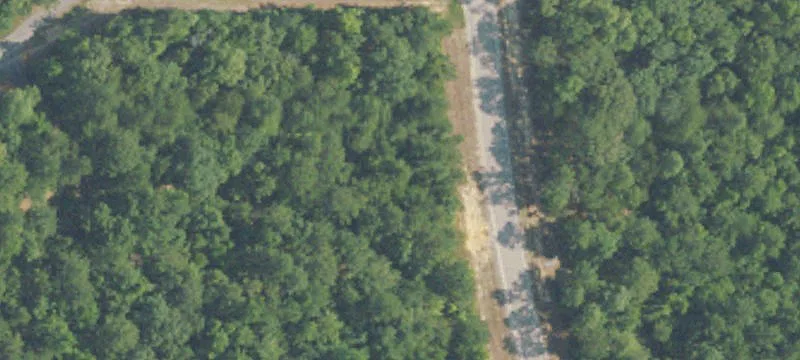 Timber and Hunting Land