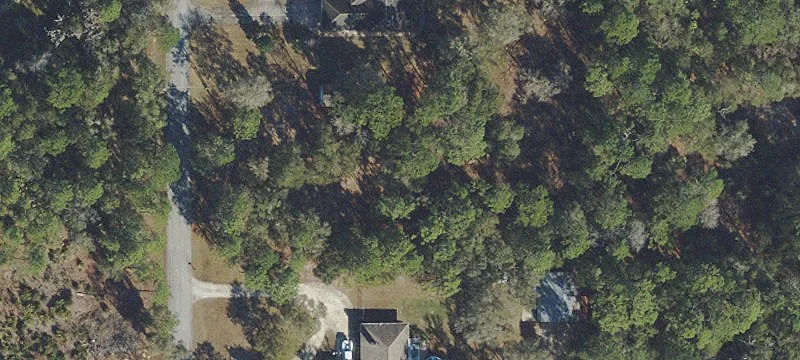 Wooded Residential Homesite