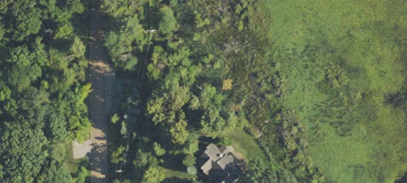 Wooded Walkout Homesite