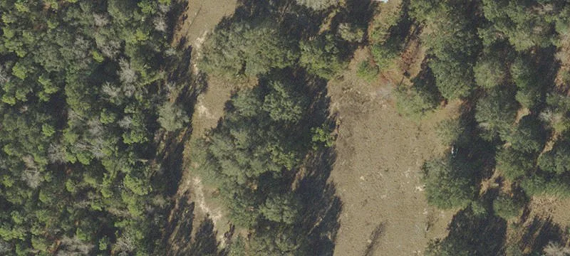 Agricultural Land with Paved Road Frontage