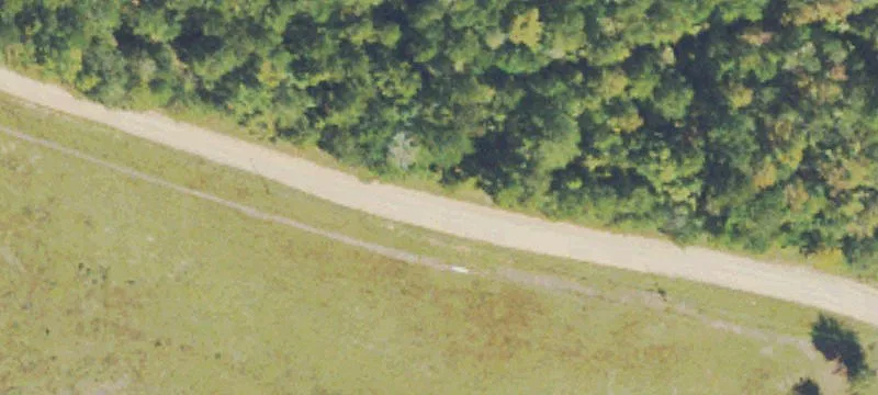 Wooded Hunting Land with Creek