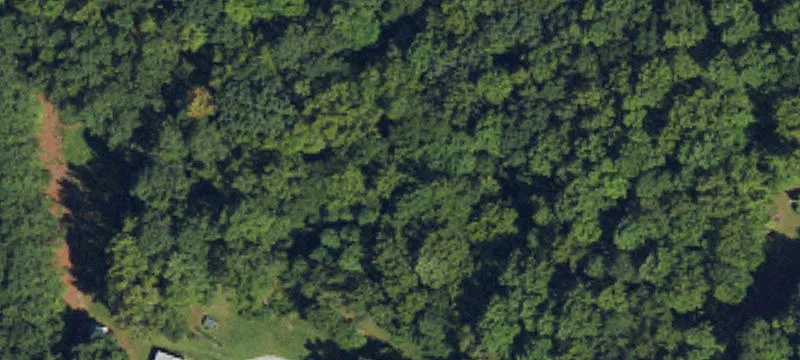 Private Wooded Home Lot