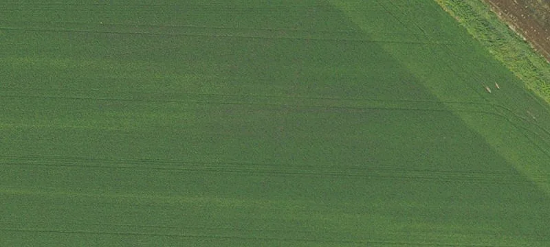 Leased Agricultural Land Parcel