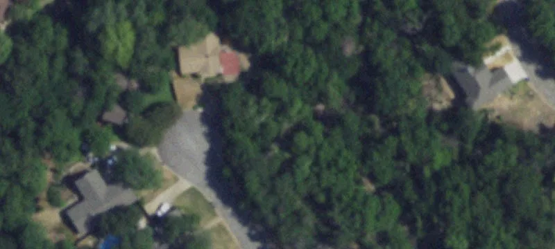 Tree-Filled Cul-de-Sac Lot