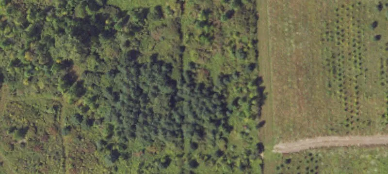 Agricultural Land with Horse Barn