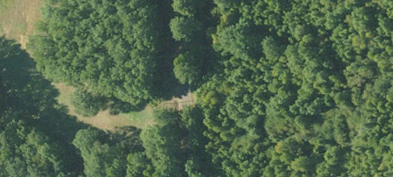 Timber and Hardwood Tract