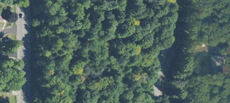 Wooded Residential Land Parcels