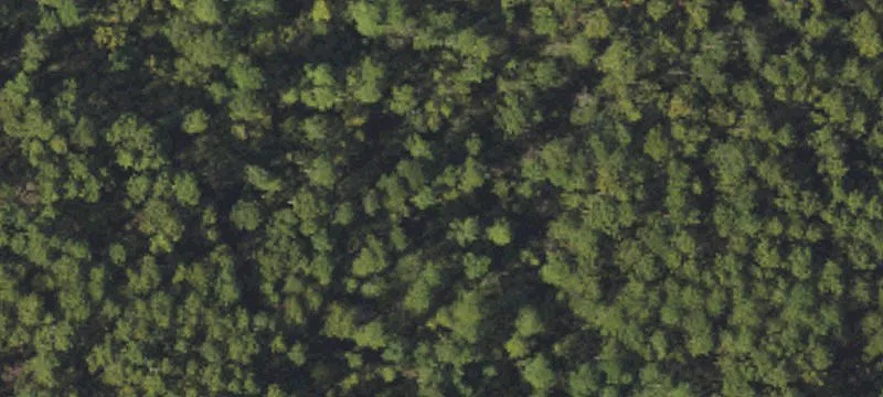 Recreational Acreage with Creek