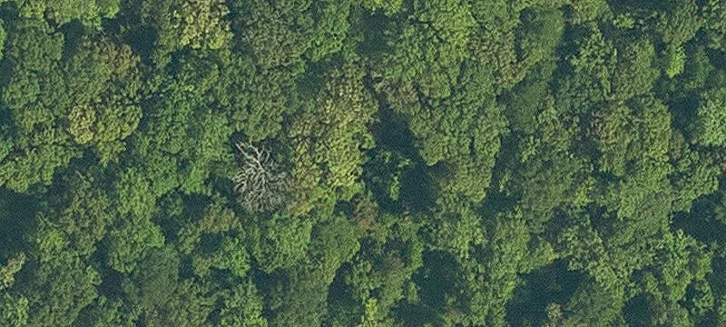 Recreational Land Tract with Road Frontage