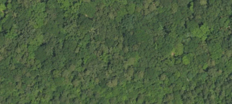 Acreage with Multiple Homesites