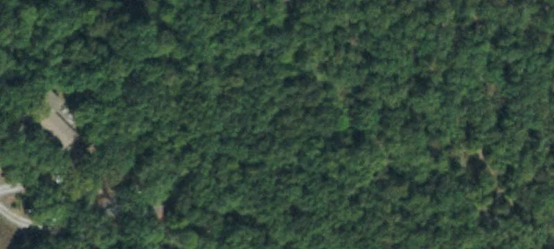 Partially Cleared Residential Acreage