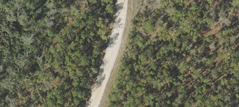 Wooded Recreational Land Parcel