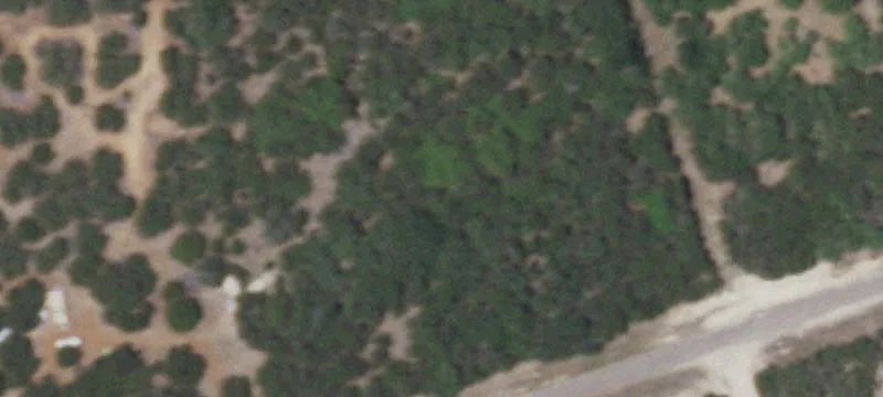 Acreage Homesite with Live Oaks