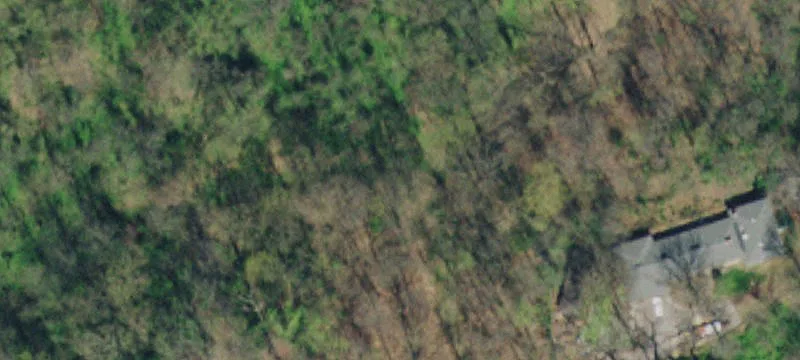 Wooded Land Tract