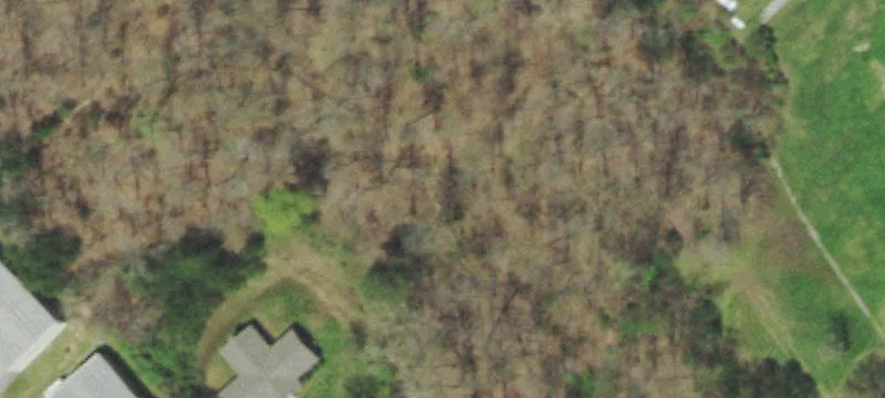 Automotive Service Property