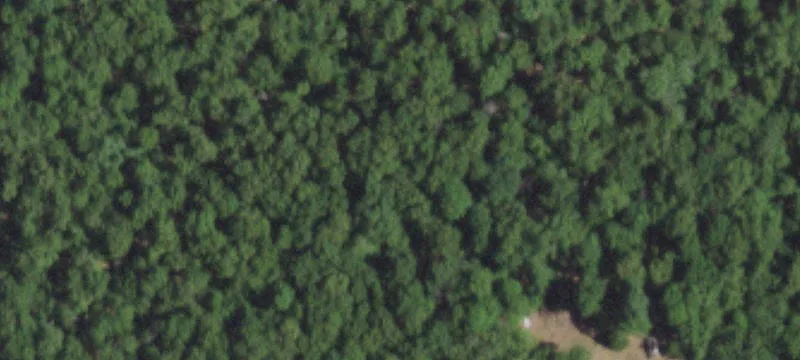 Wooded Hunting Land Tract